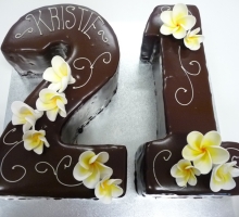 sm2011-03-26 15.02.23