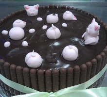 sm2013-03-22 16.04.13