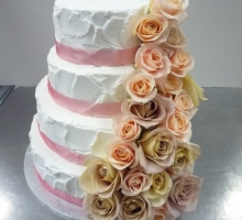 sm2011-06-25 12.43.06