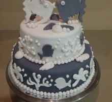 sm2017-01-21 10.53.40